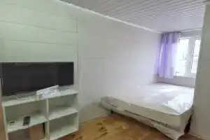 Студия, Адлер