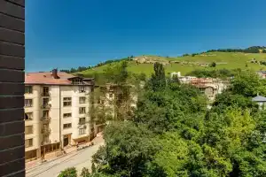 Видовая квартира + С витражными окнами + У входа в курортный парк