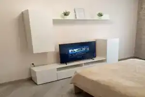 Квартира напротив Олимпийского парка, Тамбов