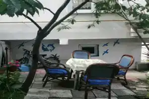 У моря, Сочи