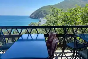 Четырехместный эконом, Партенит
