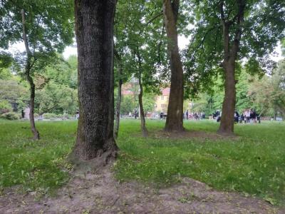 Квартиры на Коммунальной 5 - 24