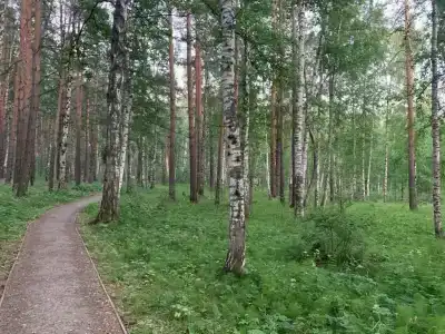 Студия в эко-районе Светлый,7 - 24