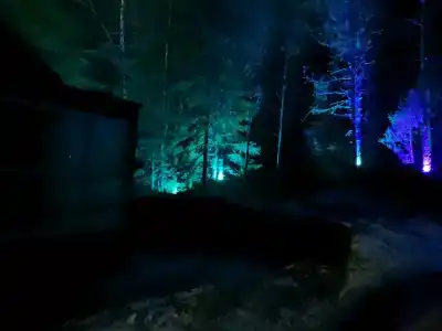 Хутор Лампи - 31