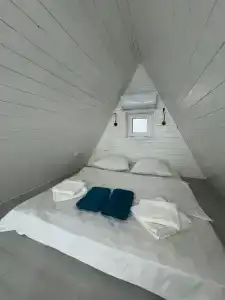 Аквариум - 43