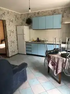 Кипарис - 125