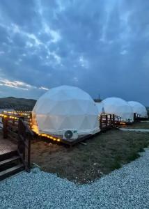 Аквариум - 121