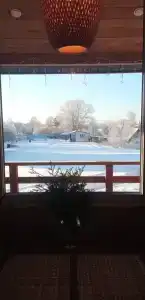 12 месяцев - 37