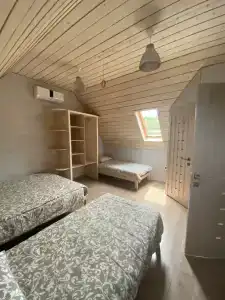 Сосна - 152