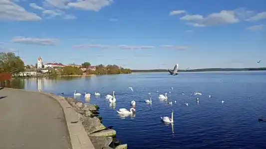 Диалог-хостел - 30