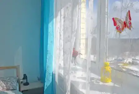 Полет - 12