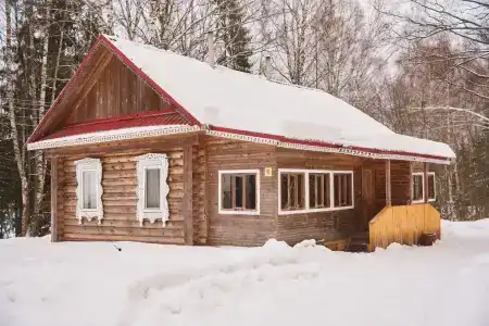 Подсолнухи - 85