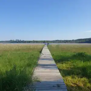 Приют водолаза - 11
