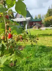 Поместье-Park на Стрелке - 54