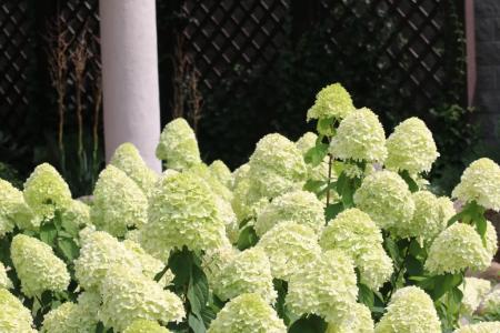 Villa Zen с ванной спа и террасой - 45