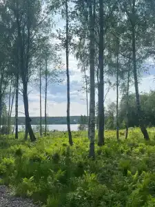 Дом у озера - 104