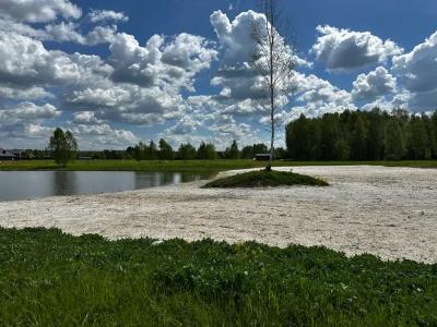 Гостевой дом с Сауной и 3 Спальнями - 22