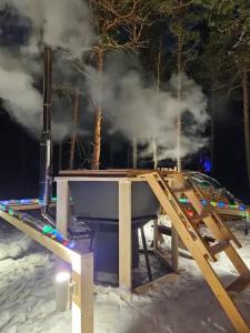 Частный дом Ильинка в Карелии - 40