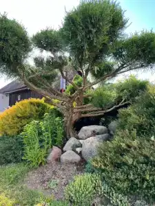 Усадьба у Захара - 21