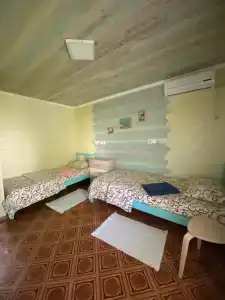 Инжир - 32