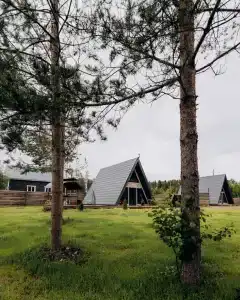 A-frame Сосновый бор - 105