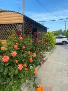 Гостевой дом на Набережной 36 - 25