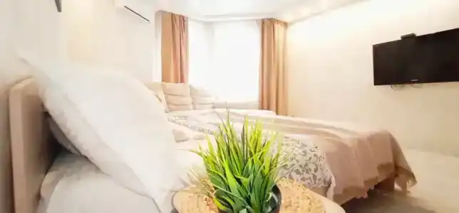 Шикарные апартаменты в центре - 2