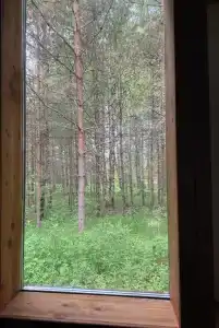 Избушка в лесу - 44