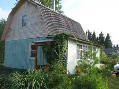 Уютный дом в Лесном - 2