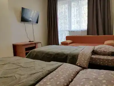 Тундровый 1 - 0