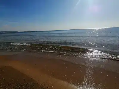 Проспект - 5