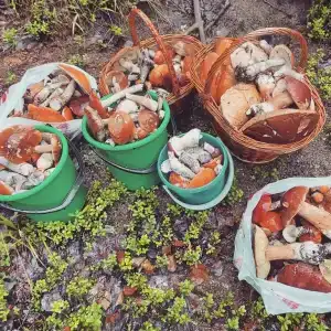 Дом в деревне - 34