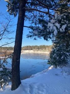 Уютный лесной домик со всеми удобствами в Полянках - 33