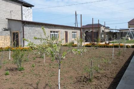 Уютные коттеджи рядом с морем - 14