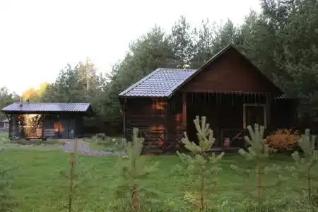 Уютный дом на опушке леса рядом с настоящей баней - 1