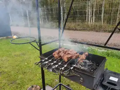 Рядом лес - 52