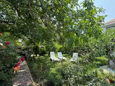 Green House - 22
