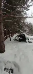 Дом на водохранилище - 8