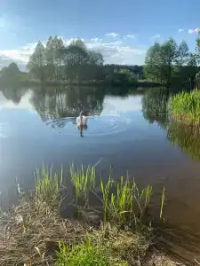 Дом в Белорусской Швейцарии - 22