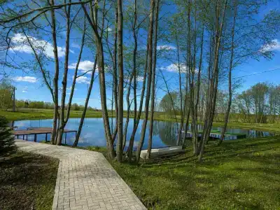Дом, рыбалка. Вдохновение - 30