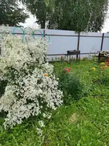 Хуторок - 19