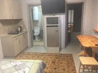 Дом с видом на Музей деревянного зодчества - 5