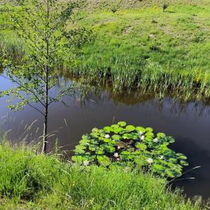 Панский Вал - 23