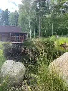 Моя Деревня - 38