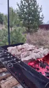 Forest hous - 3