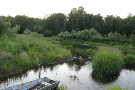 Кромбас - 41
