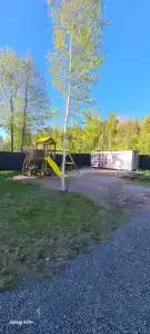 Мамонт на озере - 6
