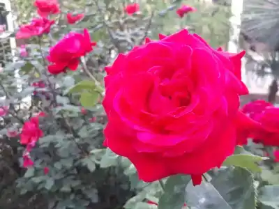 Первый коттедж - 19