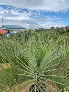 Квартиры на Цветочной 34 - 747