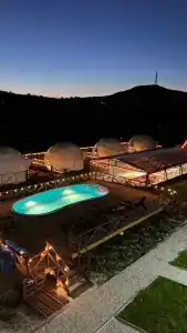 Аквариум - 50